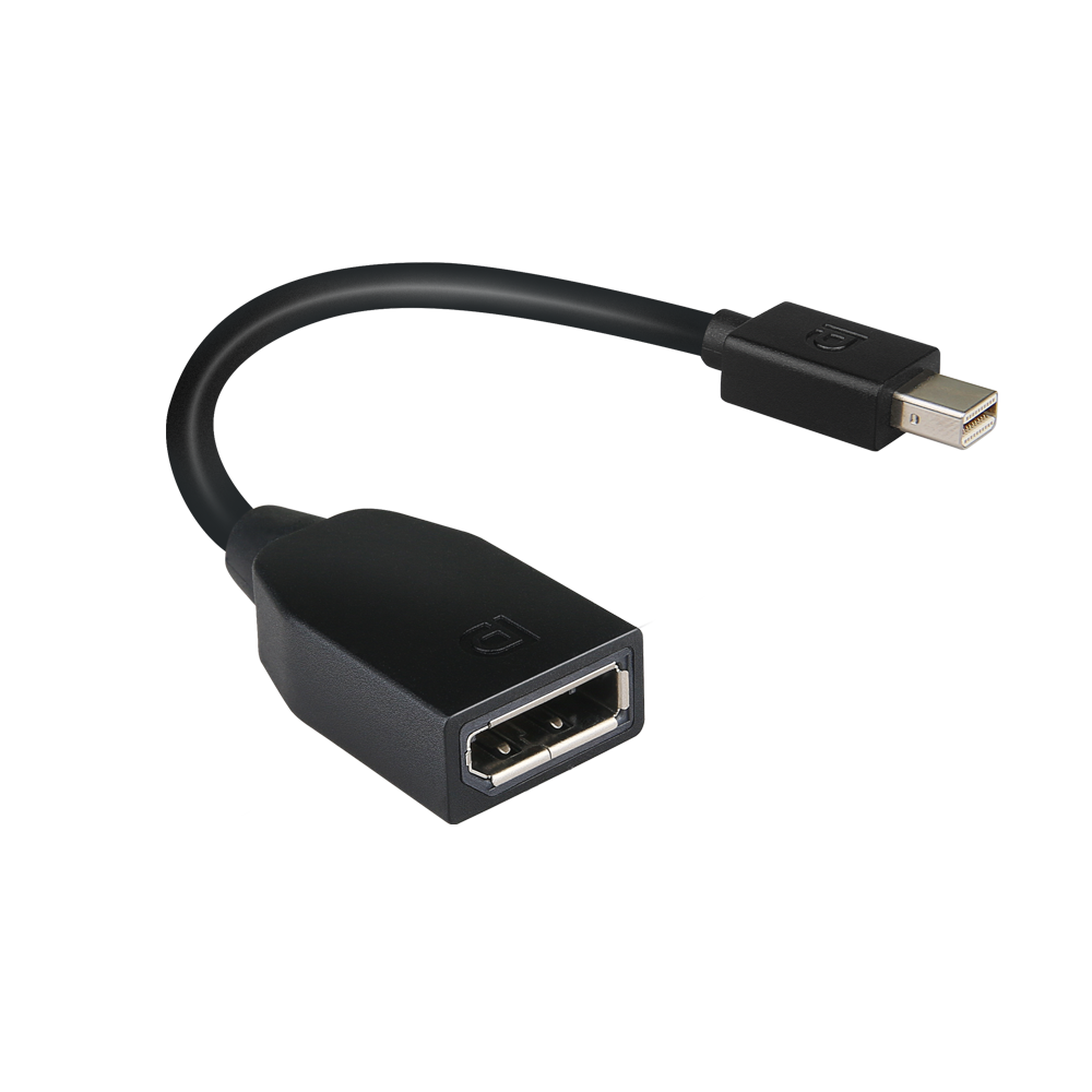 Mini-DisplayPort to DisplayPort Adapter  4X90L13971