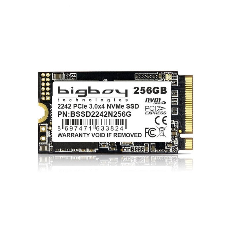 Bigboy 256GB 22x42mm PCIe 3.0 x4 M.2 NVMe Notebook SSD