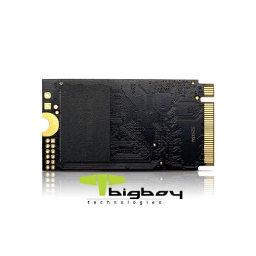 Bigboy 512GB 22x42mm PCIe 3.0 x4 M.2 NVMe Notebook SSD