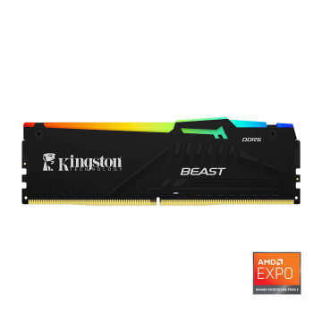 Kingston Beast RGB Expo 32GB DDR5 6400MHz CL32 Masaüstü Performans Ram