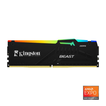 Kingston Beast RGB Expo 32GB DDR5 5600MHz CL36 Masaüstü Performans Ram