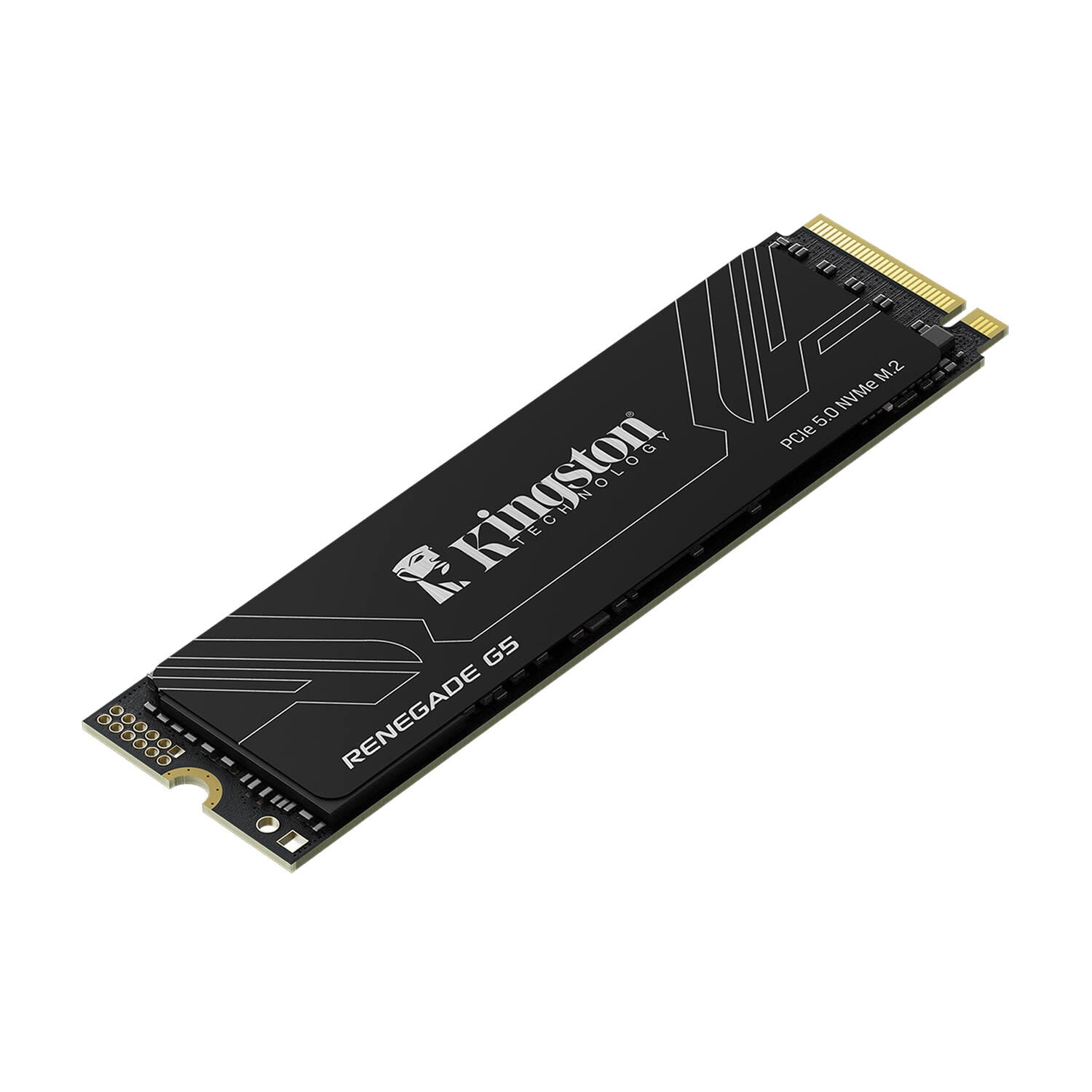 Kingston Renegade G5 4TB 22x80mm PCIe Gen 5 x 4 NVMe M.2 SSD